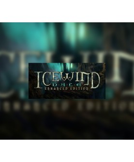 Icewind Dale: Enhanced Edition Steam Key EUROPE